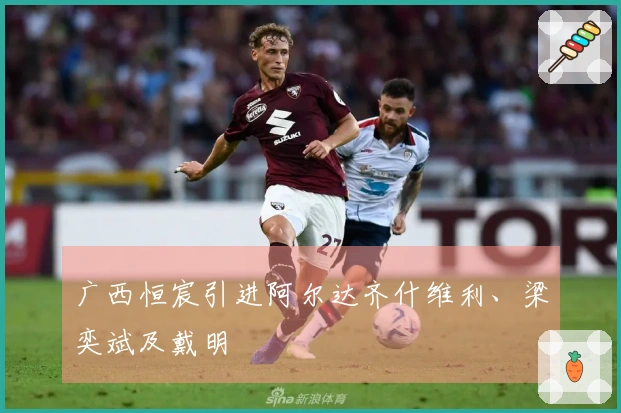 广西恒宸引进阿尔达齐什维利、梁奕斌及戴明