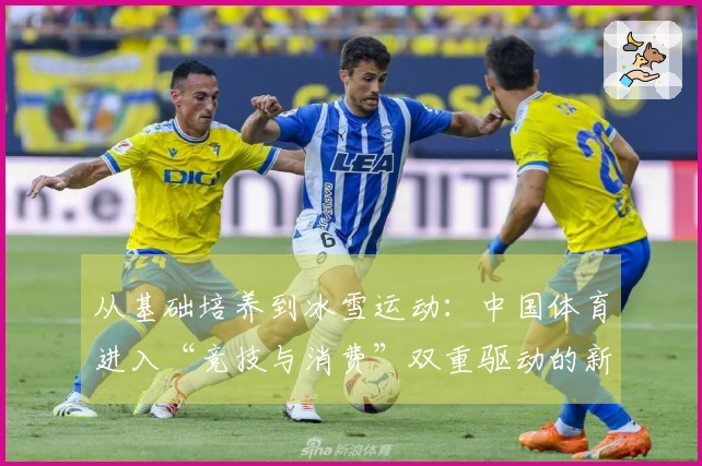 从基础培养到冰雪运动：中国体育进入“竞技与消费”双重驱动的新纪元