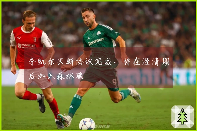 李凯尔买断协议完成，将在澄清期后加入森林狼