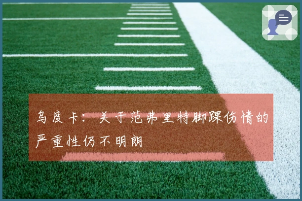 乌度卡：关于范弗里特脚踝伤情的严重性仍不明朗
