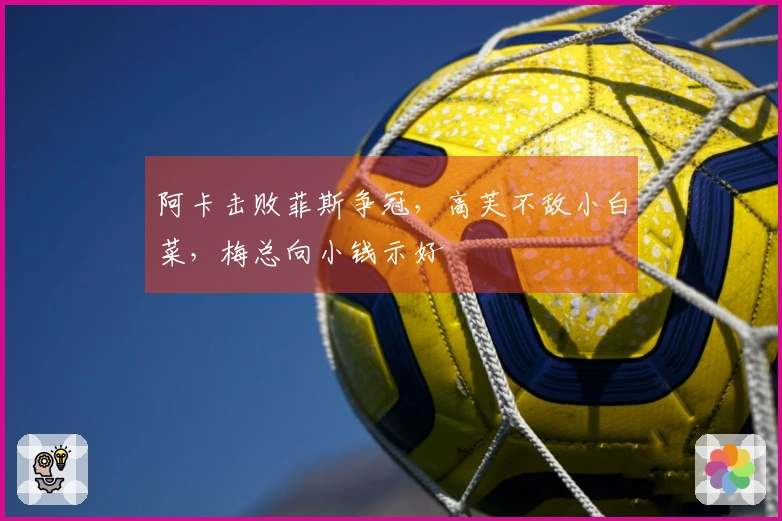 阿卡击败菲斯争冠，高芙不敌小白菜，梅总向小钱示好