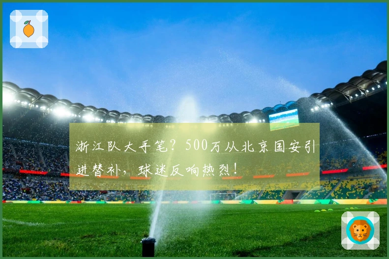 浙江队大手笔?500万从北京国安引进替补,球迷反响热烈!