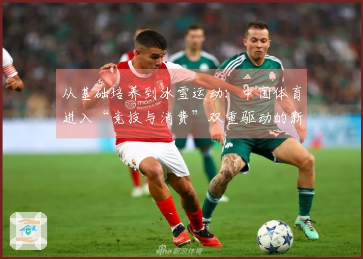 从基础培养到冰雪运动：中国体育进入“竞技与消费”双重驱动的新纪元