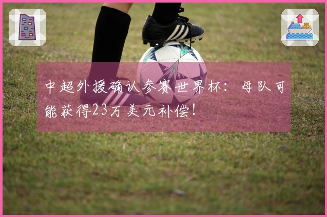 中超外援确认参赛世界杯：母队可能获得23万美元补偿！